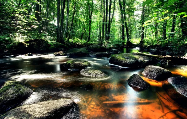 Картинка зелень, лес, деревья, ручей, камни, Швеция, Vastra Gotaland