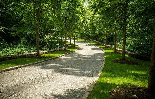 Картинка дорога, зелень, трава, деревья, парк, США, аллея, Conyers Farm