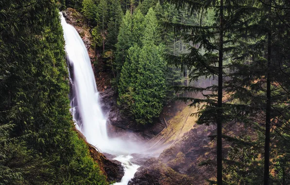 Лес, деревья, скала, обрыв, водопад, Вашингтон, США, Wallace Falls