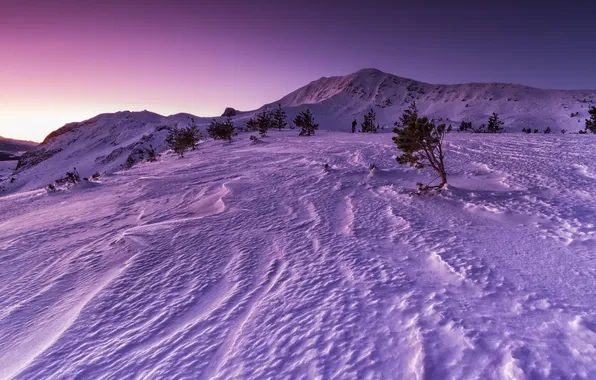 Зима, снег, закат, горы, природа