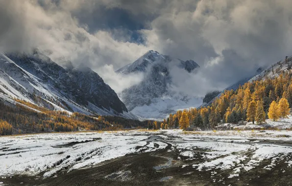 Картинка осень, лес, снег, деревья, горы, Краси Матаров