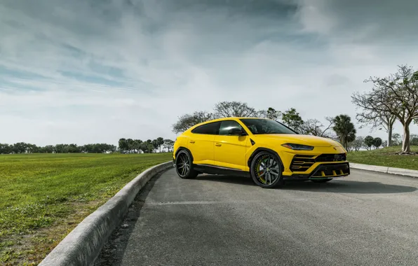 Картинка Lamborghini, Yellow, Urus, VAG, Sight