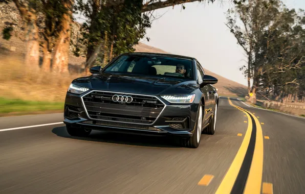 Audi, разметка, 2019, A7 Sportback