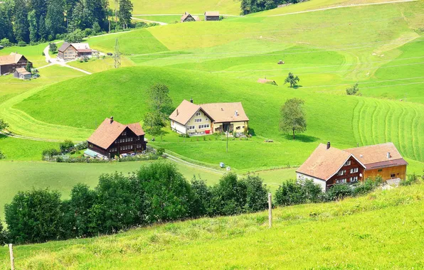 Картинка зелень, трава, деревья, поля, Швейцария, домики, Trogen