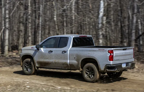 Картинка лес, движение, земля, Chevrolet, пикап, Custom, Silverado, 2020