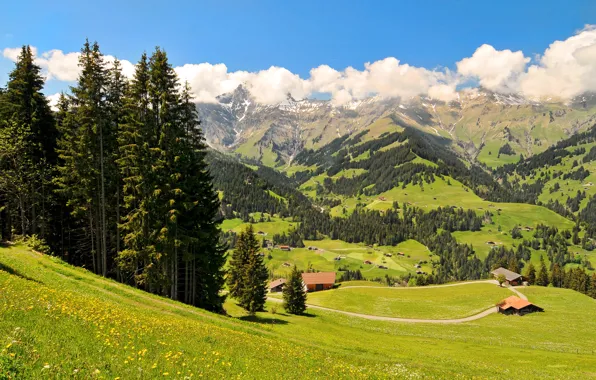Картинка деревья, горы, поля, Швейцария, долина, домики, луга, Oberland