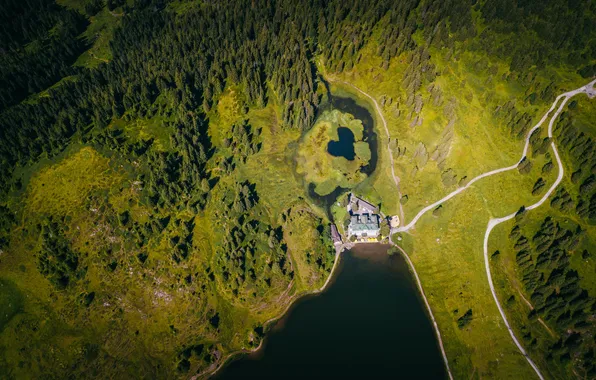 Картинка green, house, forest, road, lake, aerial view