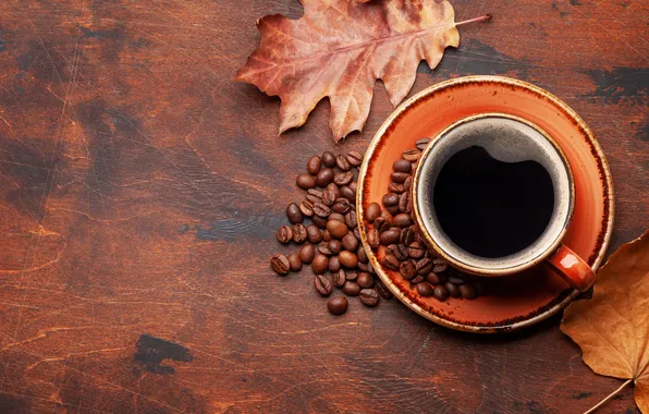 Осень, листья, зерна, wood, autumn, leaves, cup, beans