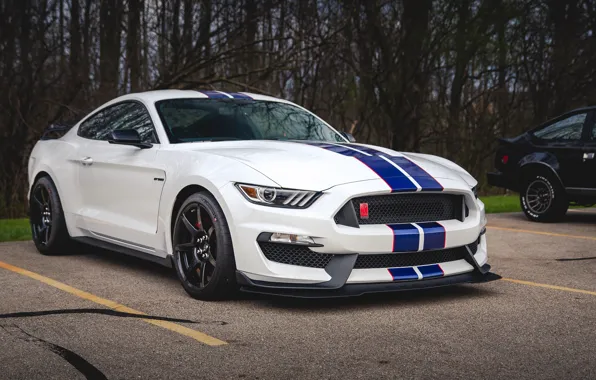 Mustang, Ford, Shelby, GT350, Шелби, Форд Мустанг, Ford Mustang Shelby GT350