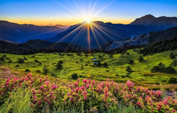 Картинка солнце, лучи, пейзаж, горы, поляна