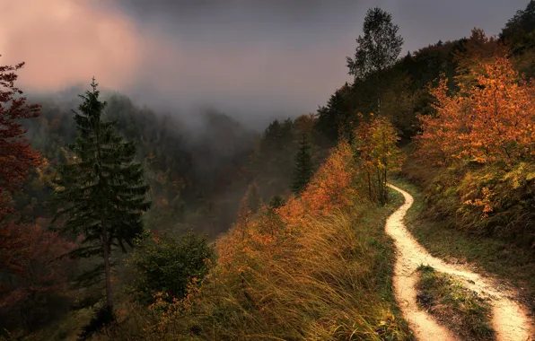 Картинка осень, горы, туман