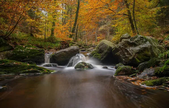 Картинка осень, лес, деревья, река, камни