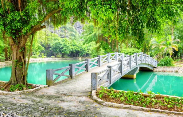 Картинка зелень, деревья, ветки, пруд, парк, листва, Вьетнам, мостик