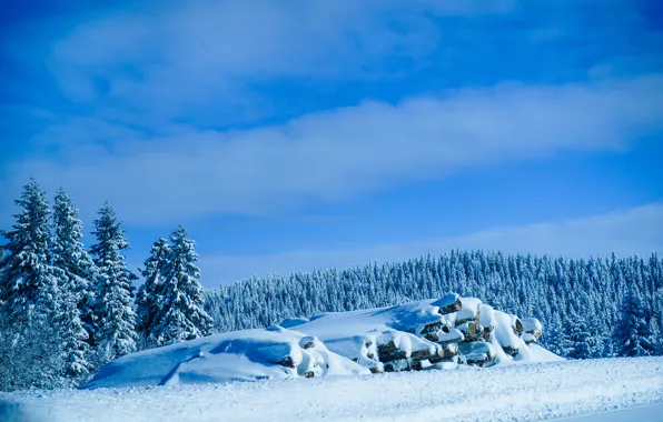 Картинка landscape, nature, wood, winter, snow, serbia, kopaonik