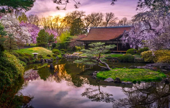 Картинка USA, Pennsylvania, Philadelphia, Jason Gambon, Shofuso Japanese Cultural Center