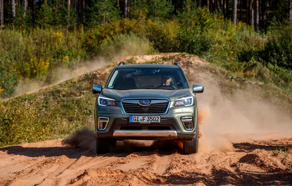 Subaru, вид спереди, кроссовер, Forester, 2019