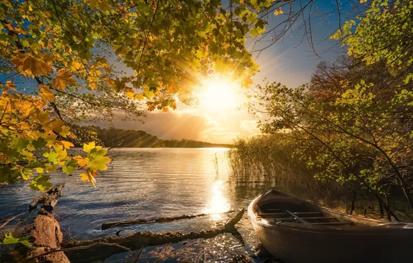 Картинка осень, свет, озеро, лодка, утро