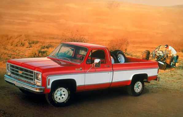 Фон, Chevrolet, Шевроле, пикап, передок, багги, 1979, Silverado