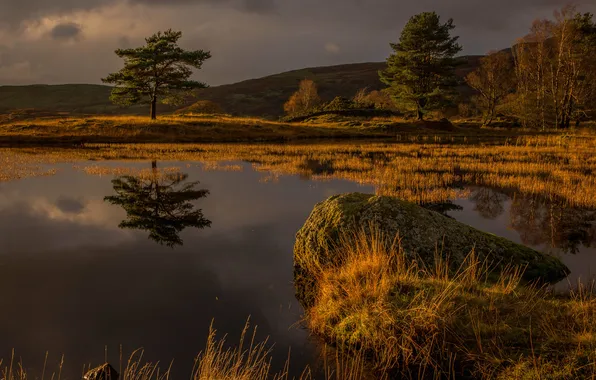 Картинка осень, небо, деревья, тучи, озеро, камень, Англия