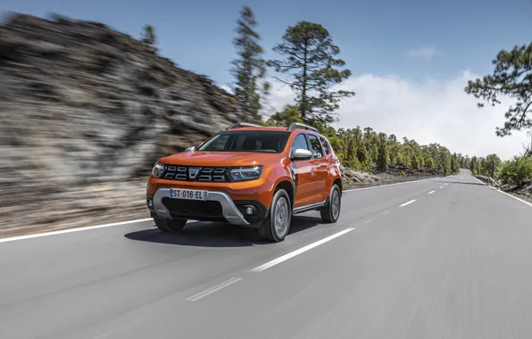 Road, tree, Duster, Dacia, 2021