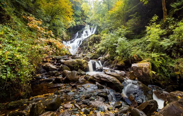 Осень, лес, деревья, водопад, жёлтые листья