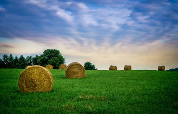 Поле, небо, трава, облака, сено, фермы