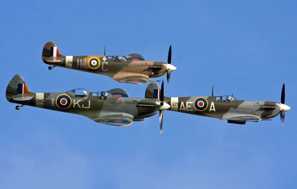 UK - England, Duxford (EGSU), Supermarine 509 Spitfire T9C, September 03. 2011