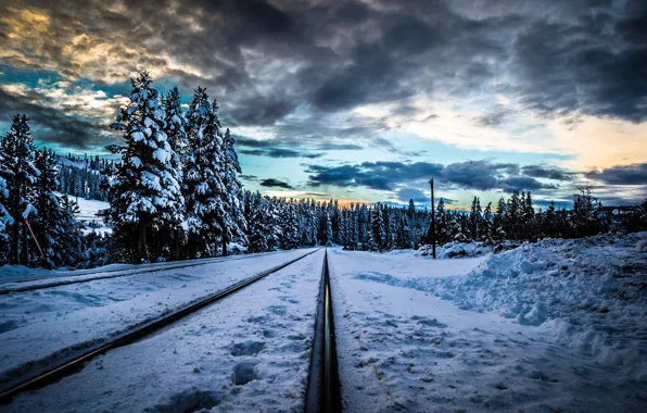 Зима, лес, снег, деревья, закат, тучи, рельсы, железная дорога