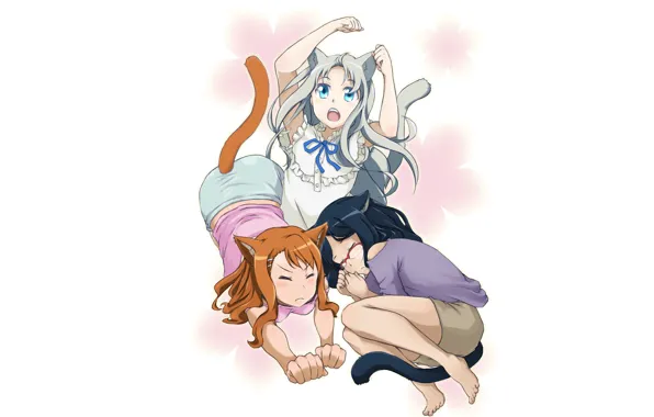 Хвост, Аниме, Ano Hana, Ano Hi Mita Hana no Namae o Bokutachi wa Mada Shiranai, …