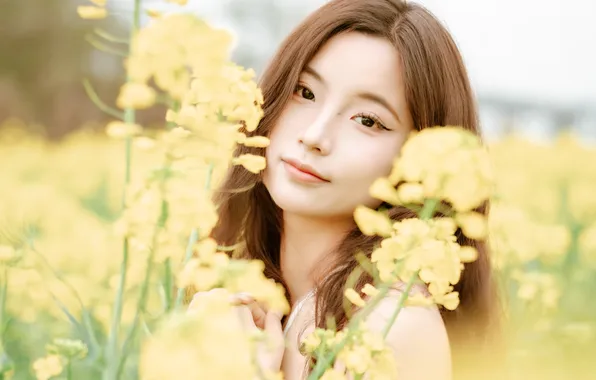 Beautiful, Asian, Model, Flowers, Smile, Woman, Cute, Pretty