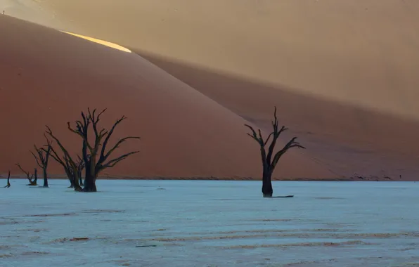Desert, africa, dunes, Deadvlei, namibia