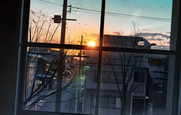 Солнце, закат, улица, вид из окна