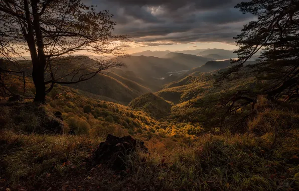 Картинка осень, деревья, пейзаж, горы, тучи, природа, растительность, долина