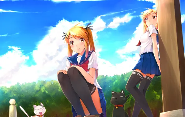 Картинка аниме, Nyan Koi!, Kotone Kirishima, Akari Kirishima, коти.