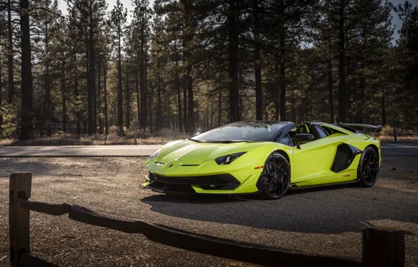 Roadster, Lamborghini, суперкар, Aventador, 2020, SVJ, Aventador SVJ