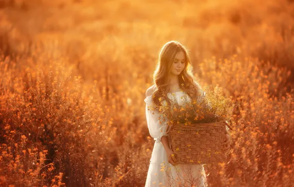Картинка поле, девушка, солнце, цветы, корзина, волосы, Ника Колесникова
