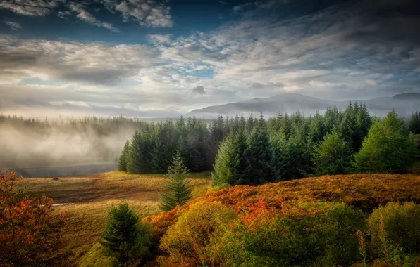 Осень, туман, река, Autumn, Scotland, Western Highlands