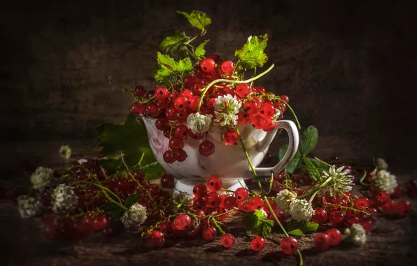 Картинка ягоды, чашка, клевер, гроздья, красная смородина, Владимир Володин
