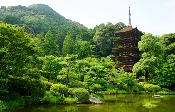Зелень, природа, пруд, парк, Япония, Yamaguchi