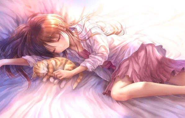 Кошка, кот, аниме, арт, спит, девочка