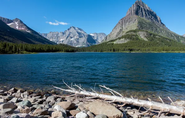 Лес, небо, деревья, горы, озеро, камни