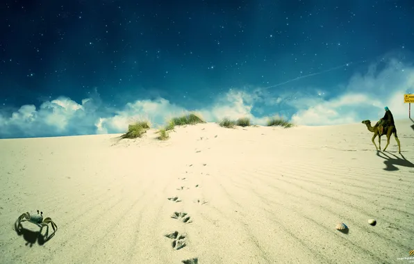 Картинка песок, небо, верблюд, бэдуин