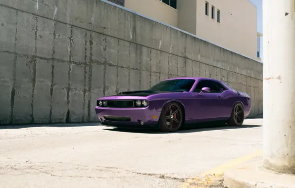 Картинка Dodge, SRT8, Challenger, Supercharged