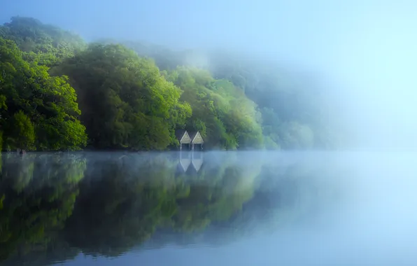 Картинка forest, trees, landscape, nature, water, lake, fog, reflection