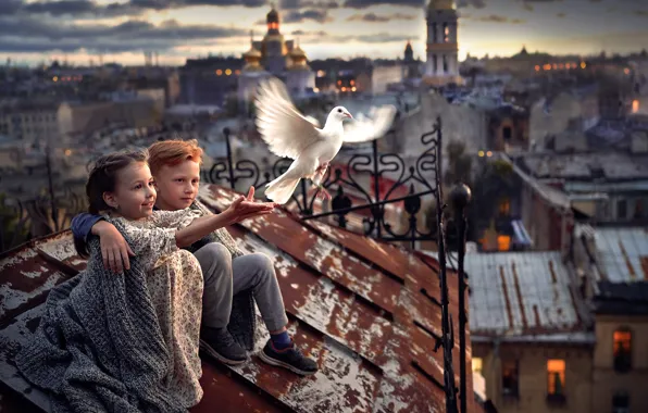 Картинка дети, город, птица, мальчик, дружба, девочка, друзья, на крыше