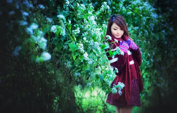 Девушка, фон, азиатка