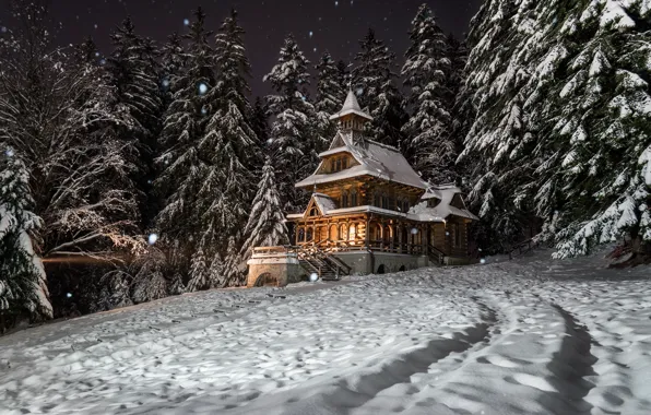 Картинка зима, лес, снег, деревья, пейзаж, ночь, природа, дом