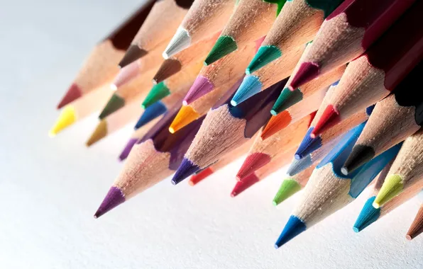 Цветные, карандаши, много, канцелярия