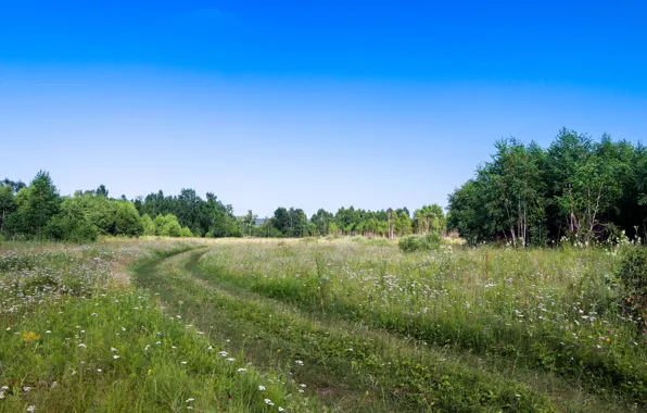 Картинка green, summer, road, sky, landcape, Евгений Макаров