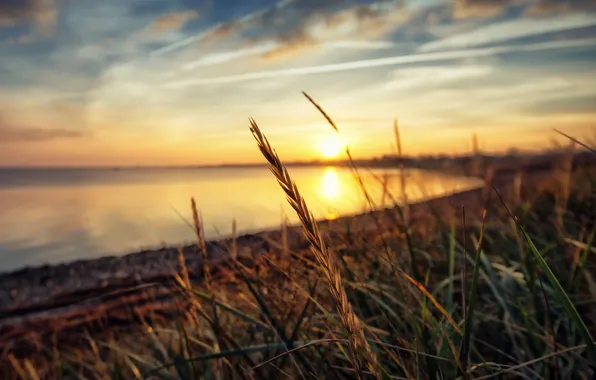 Солнце, закат, озеро, отражение, sunshine, sunset, lake, sun